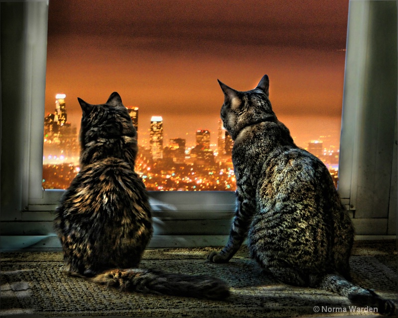 Two Tails Of A City