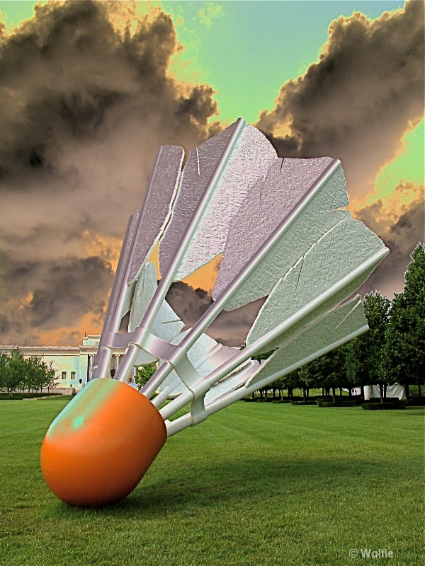 img7
