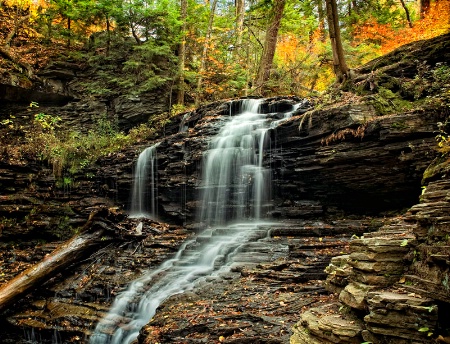 Ricketts Glen