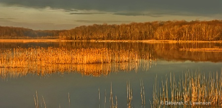 Bombay Hook NWR