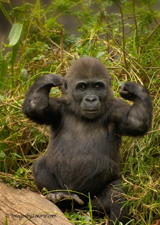 Showing his guns