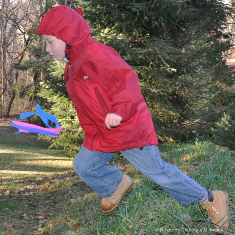 Will running at our Christmas tree farm