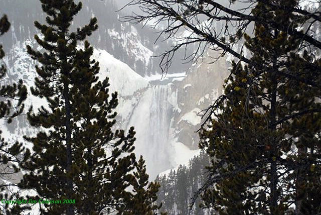 Yellowstone 