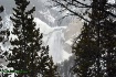 Yellowstone 