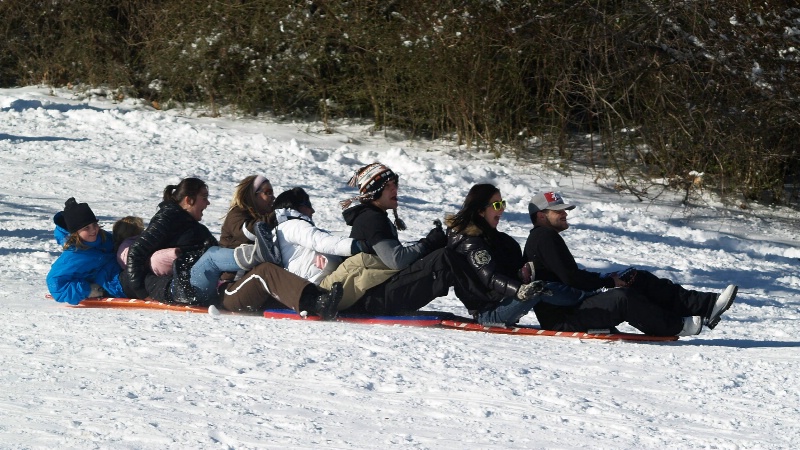 Party Sled