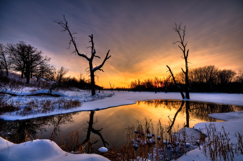 Kasota Prairie, MN