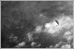 Flying high...