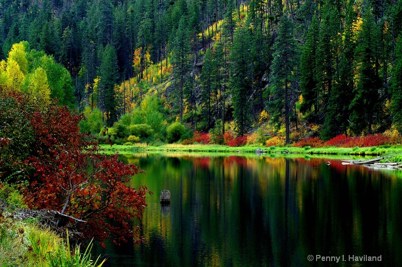 Calm & Quiet