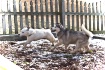 ~ Play Date ~