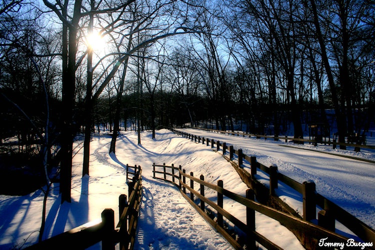 A Winter Path