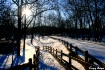 A Winter Path