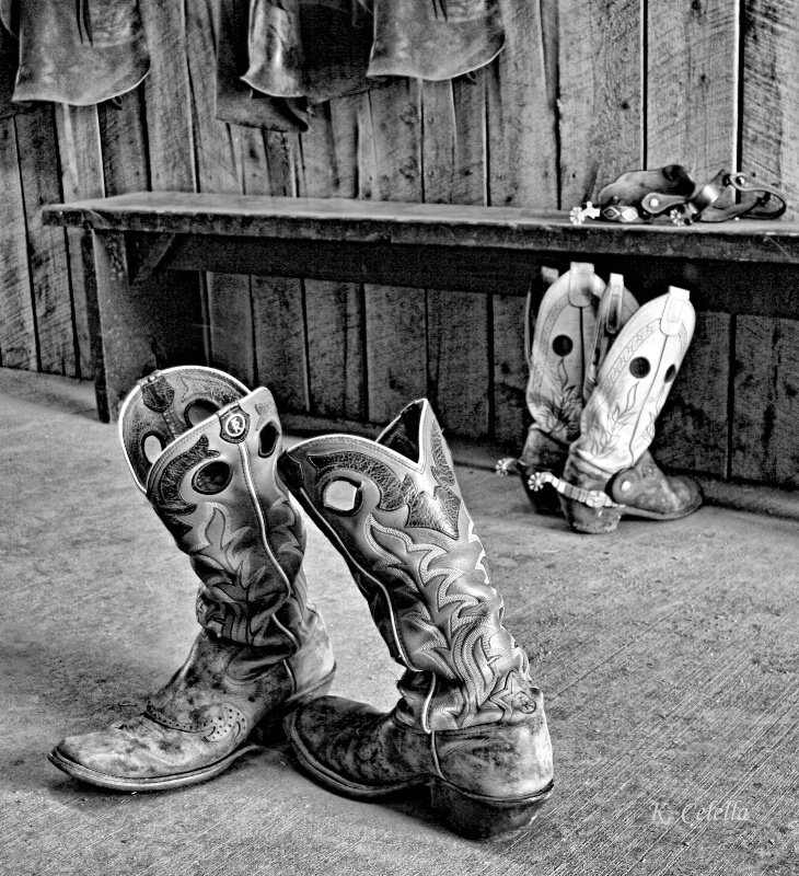 Boots in B&W - ID: 9743448 © Karen Celella