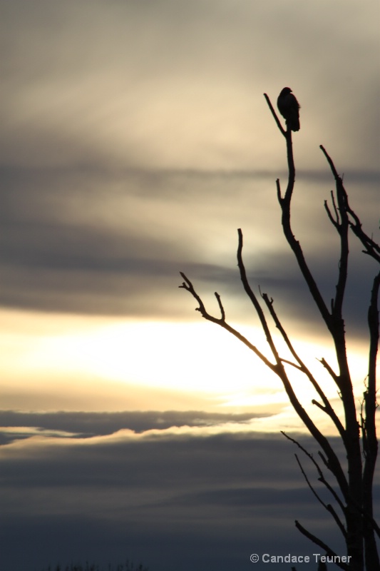 sunset on the dyke trail