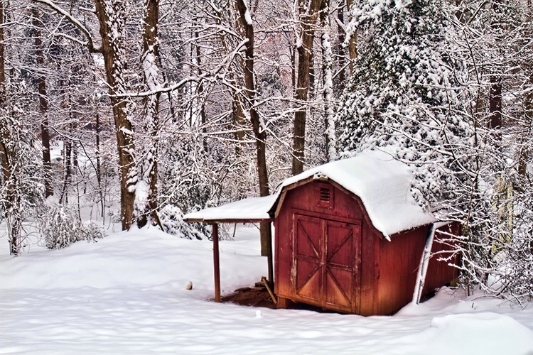 Red Shed in Winter