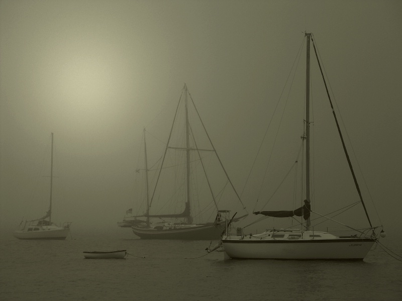 Foggy harbour