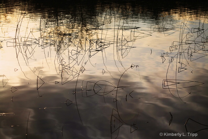 Abstract Art on Lake Sammamish
