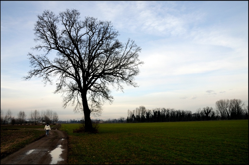 Countryside