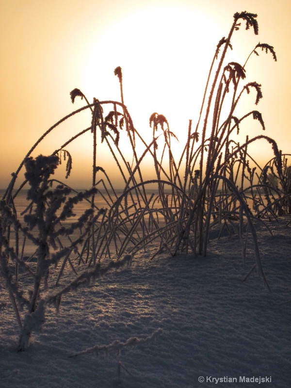 Sunrise and frosty grass