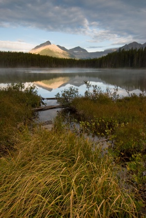 Herbert Lake