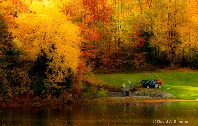 Fall Planting