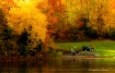 Fall Planting
