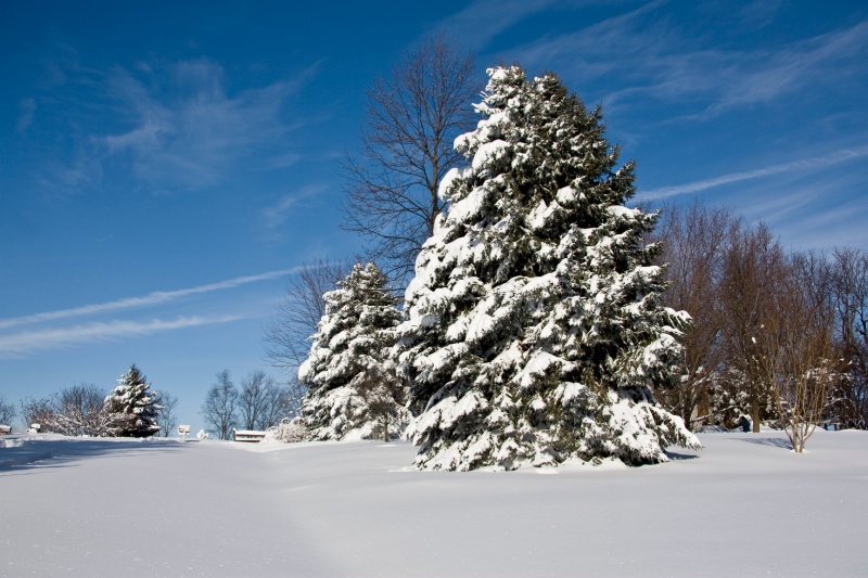 Snowy Rural Scene