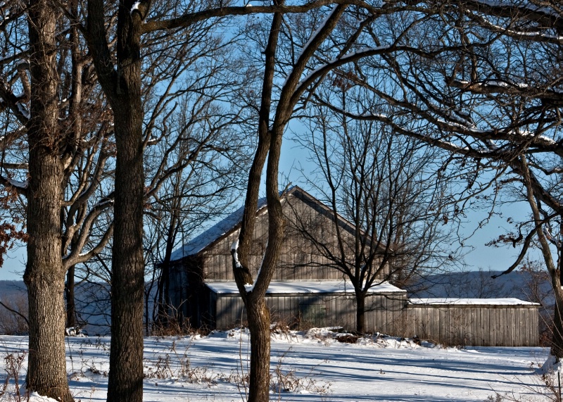 img8