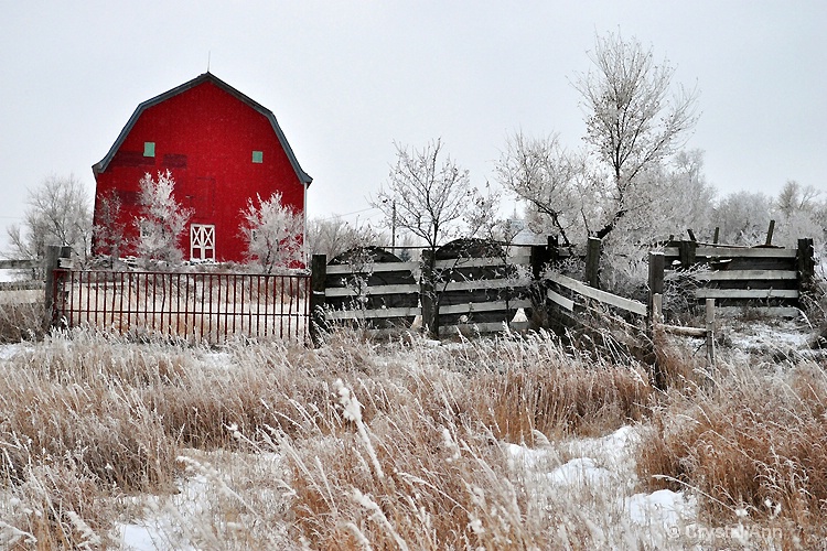 FROSTED FARMSTEAD