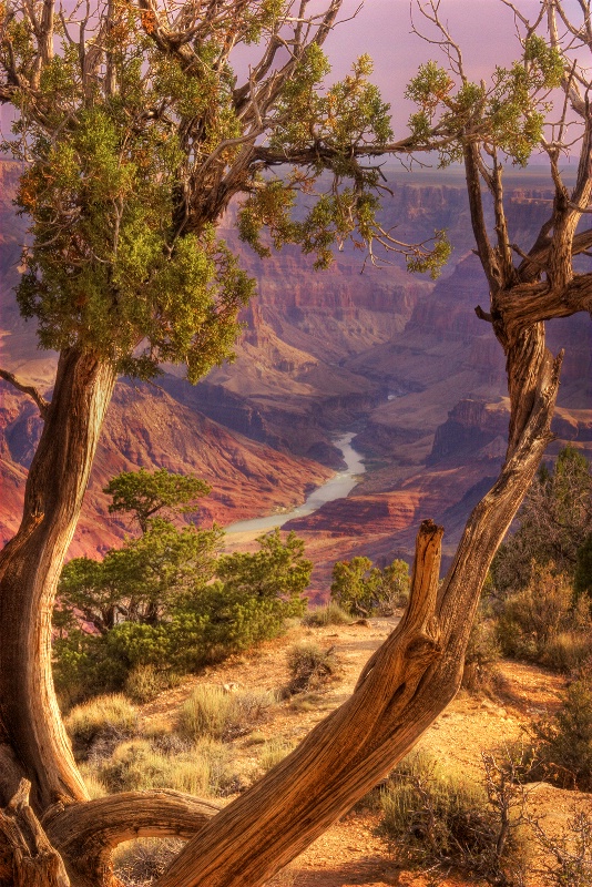 Grand Canyon in Morning Light - ID: 9775936 © Robert A. Burns
