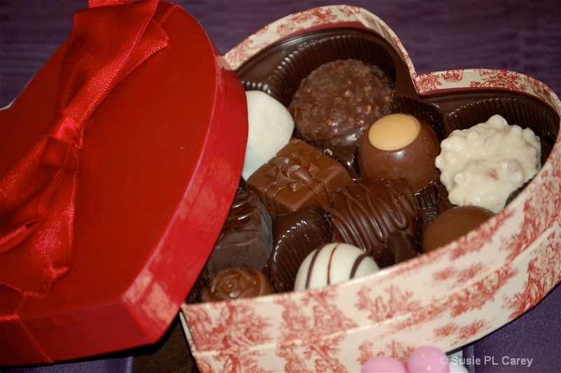 MMMMM-Chocolate! Will you be Mine?? - ID: 9776818 © Susie P. Carey