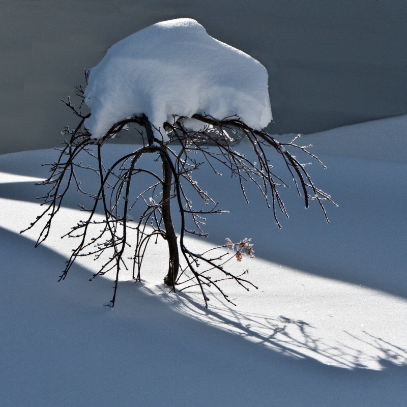 Hat of Snow