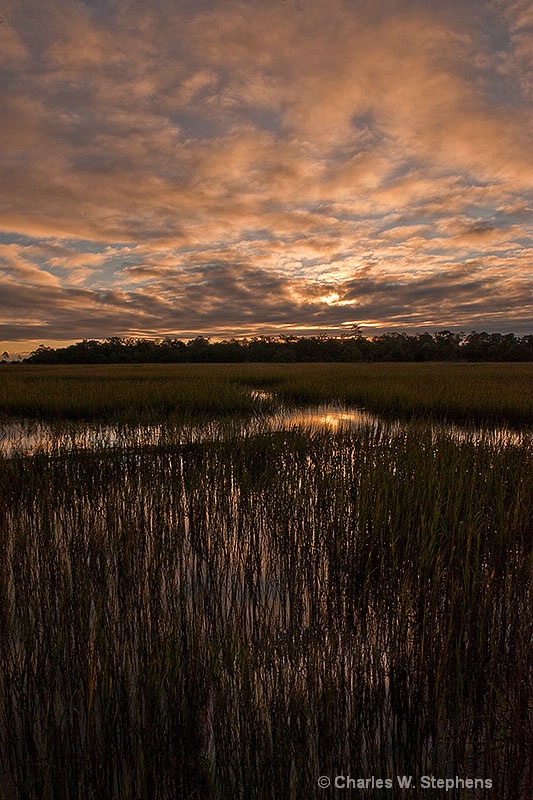 Marsh Sunrise