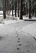 Footprints