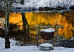 Winter Warmth