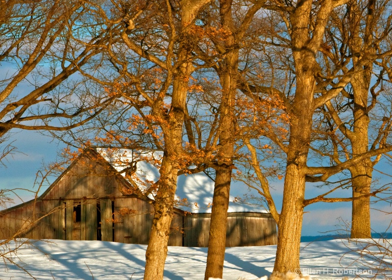 winter light