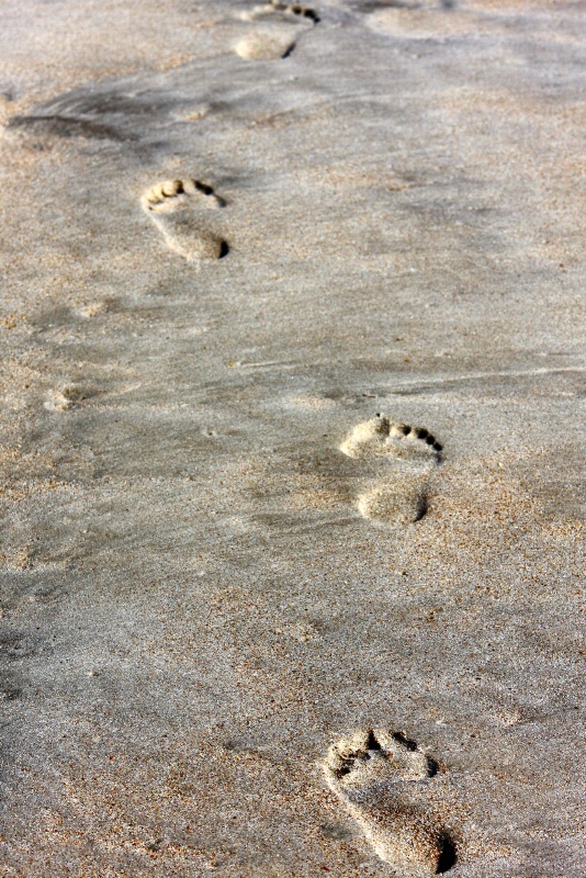 Foot Prints in the Sand