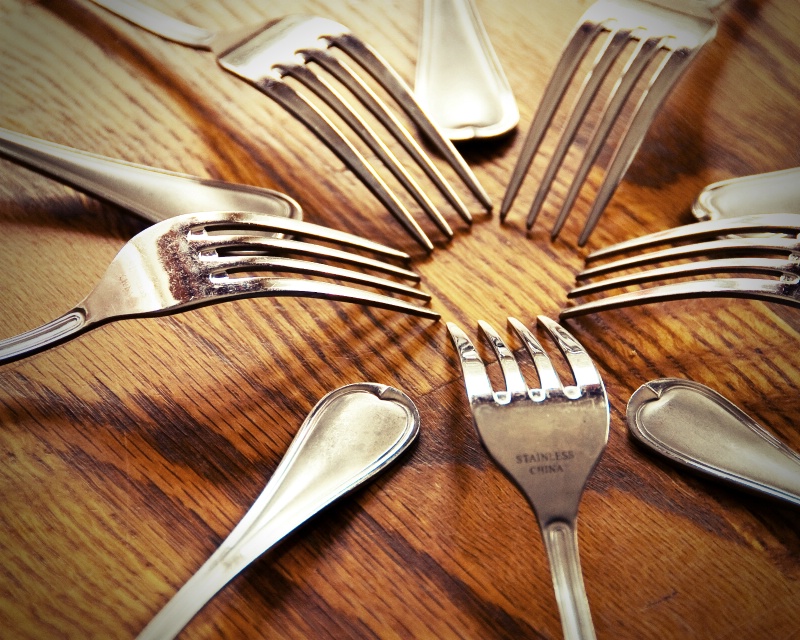 Forks by Design 2