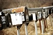 [got mail]]