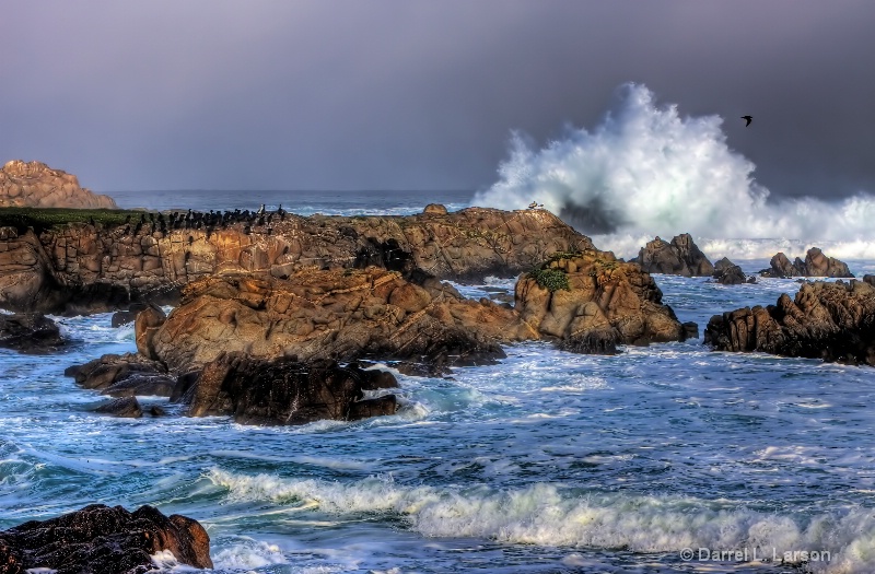 Monterey Wave Crash