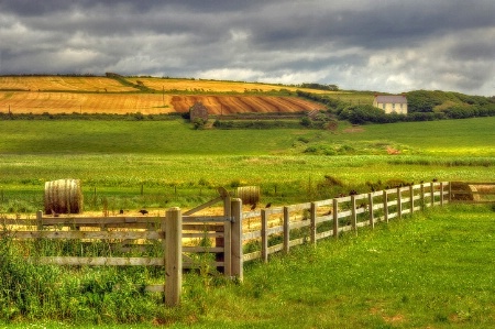 Farm and Field...Ballinspittle