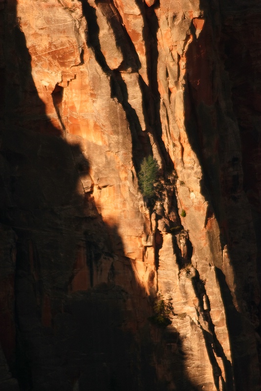 Canyon Light and Shadow - ID: 9804615 © Robert A. Burns