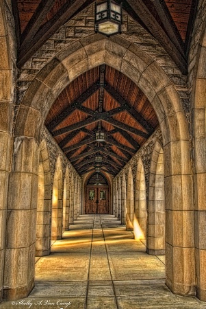 Walkway and Arches