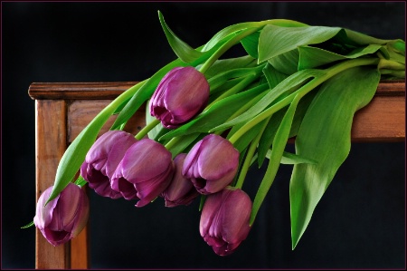 Tulips On The Table