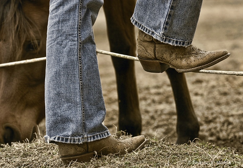 These Boots are made for Riding