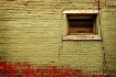 [alley window]