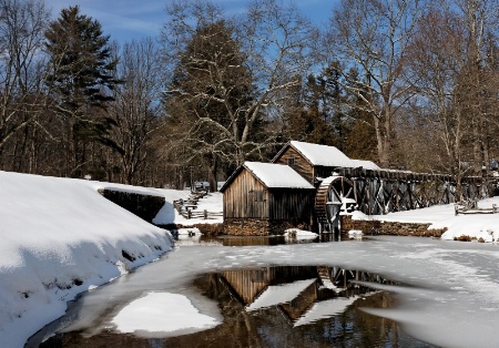 Reflections of Winter