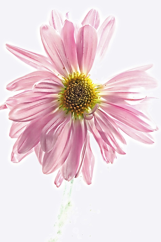 img1
