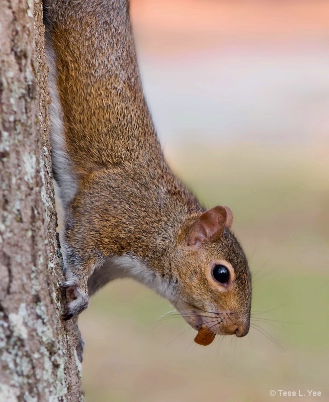 Hangin' On