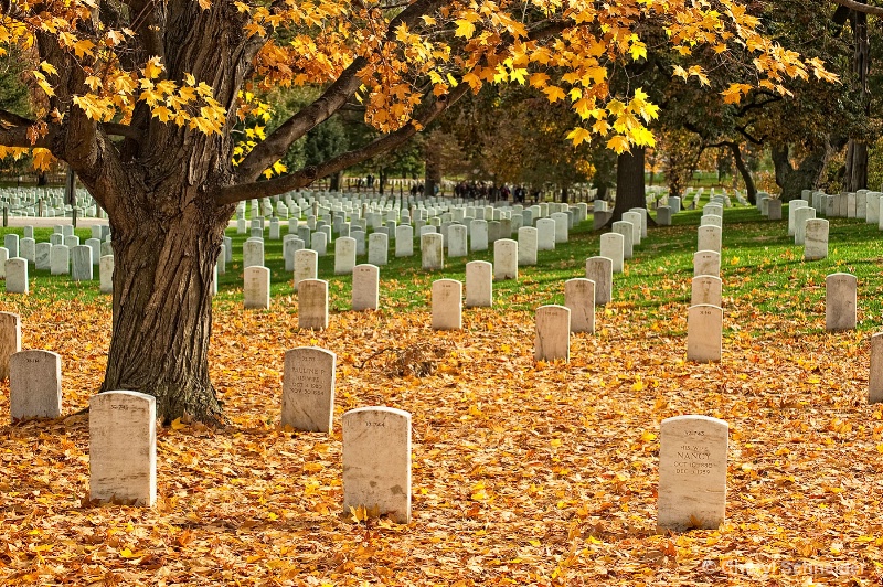 Arlington Cemetery V