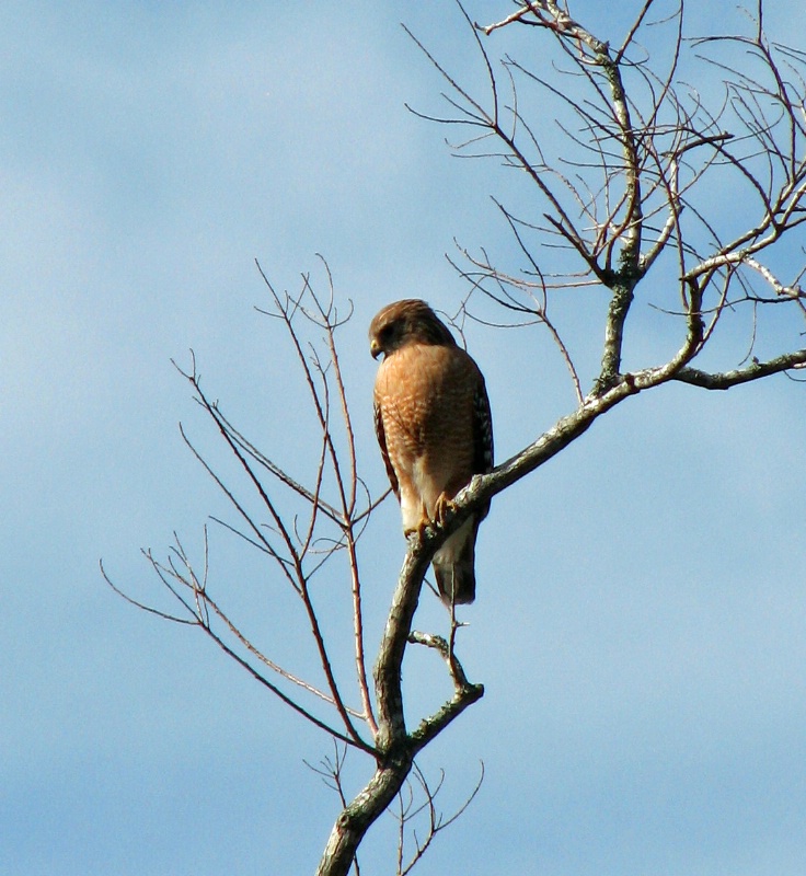 On the watch